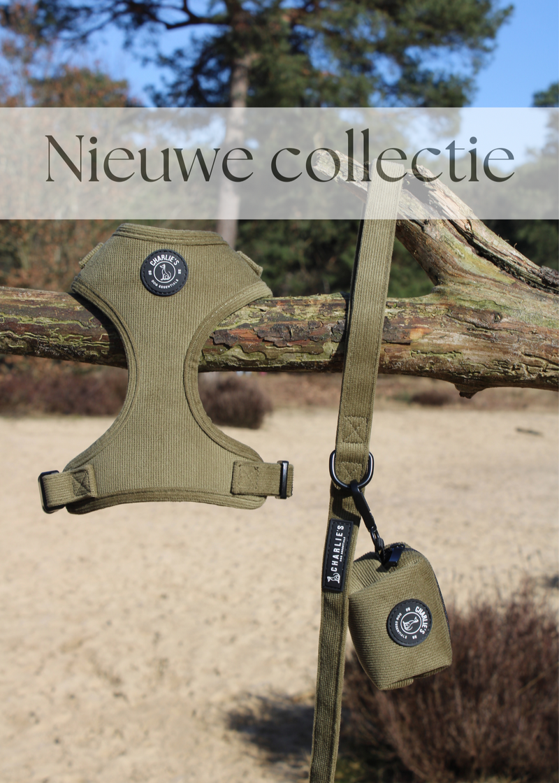 Complete set met hondentuigje: Hunter Green