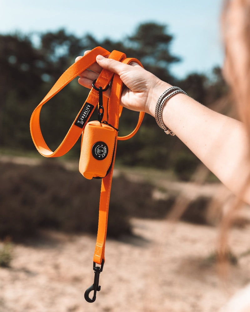 Happy Orange set
