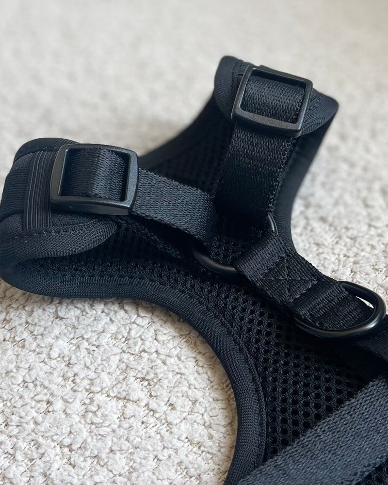 Complete set met hondentuigje: BEST IN BLACK