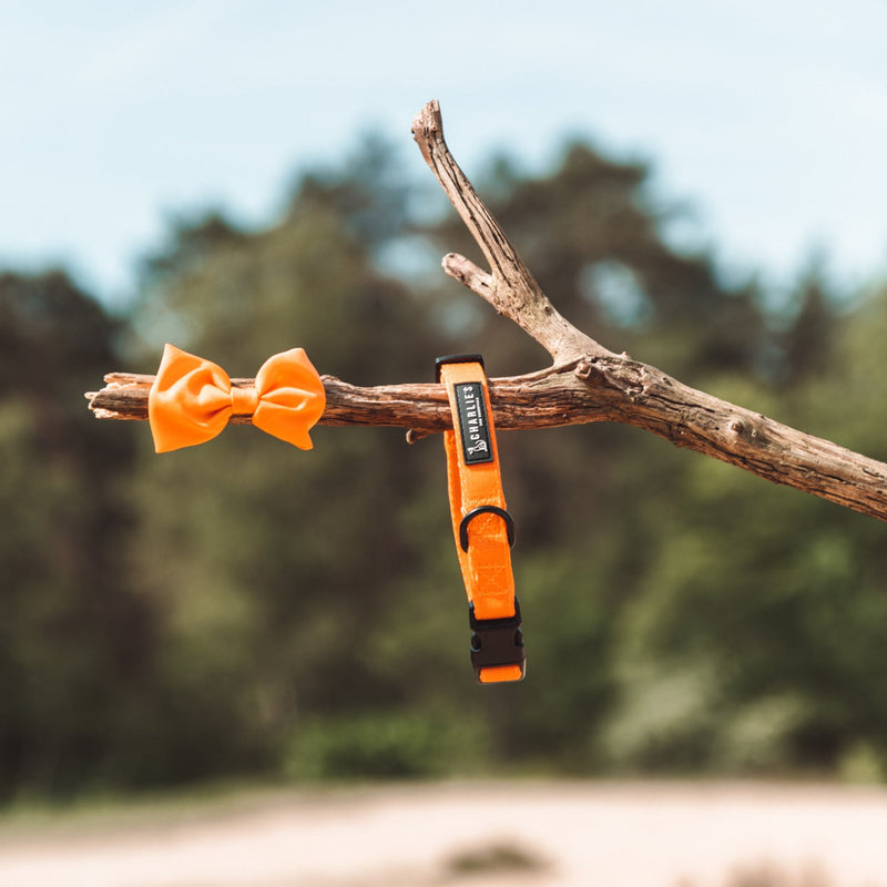 Happy Orange - Hondenhalsband