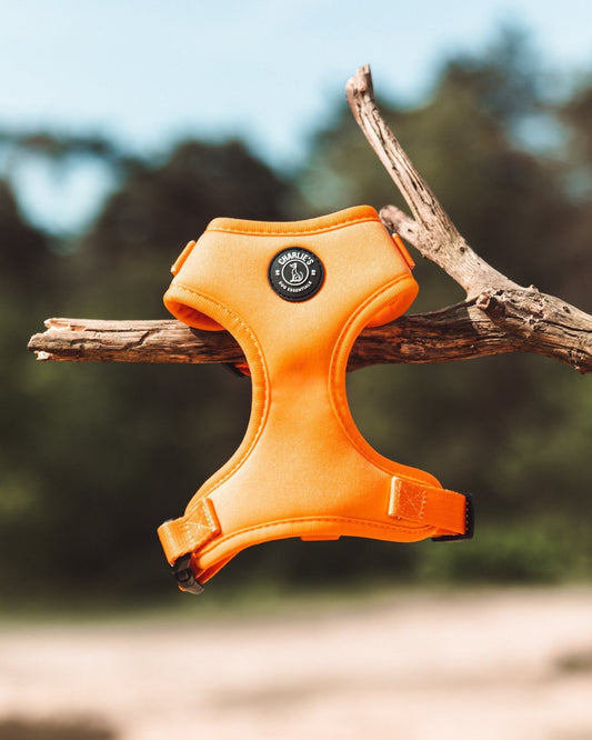 Happy Orange set